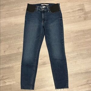 Hudson Jeans Women's Skinny Jeans - Dark Blue and Black